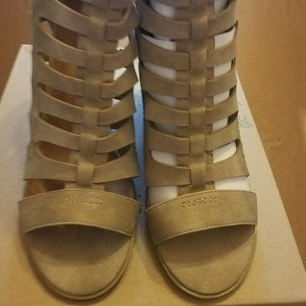 New shoes, still in box. New